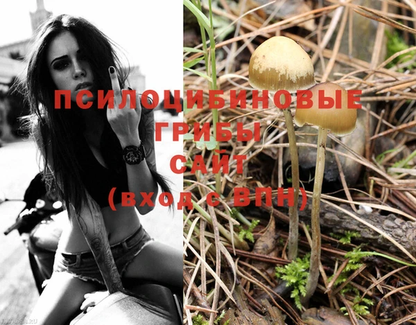 ECSTASY Майский