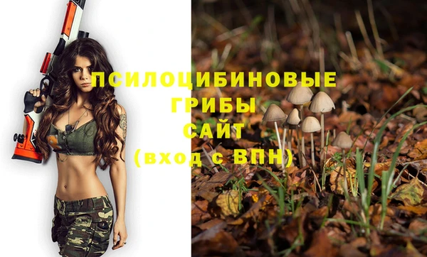 эйфоретик Магас